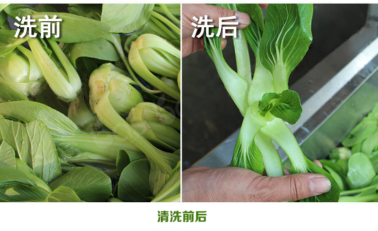 食品消毒洗菜机细节