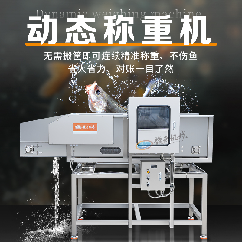 ��̬���ػ�